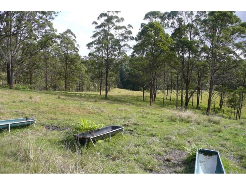 40 Pine Log Road, Murwillumbah NSW 2484