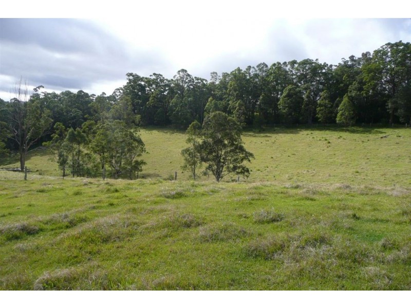 40 Pine Log Road, Murwillumbah NSW 2484