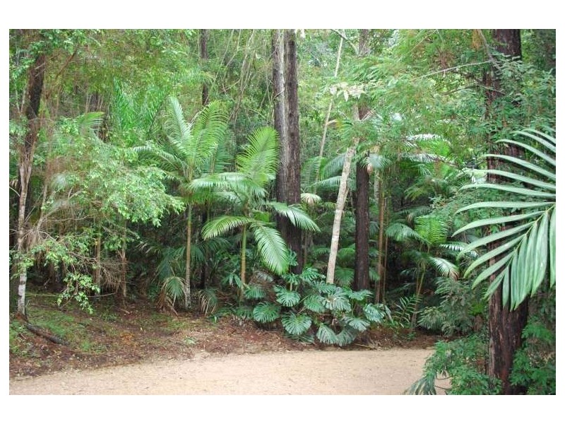 Mount Warning NSW 2484
