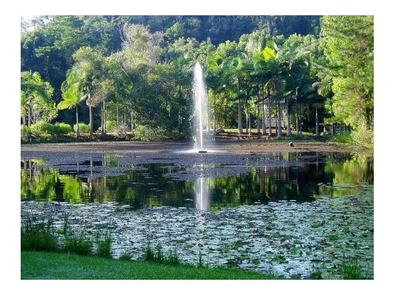 Mount Warning NSW 2484