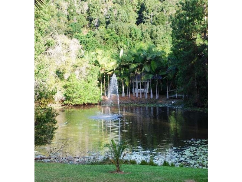 Mount Warning NSW 2484