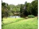 Mount Warning NSW 2484