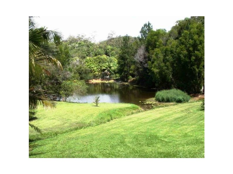 Mount Warning NSW 2484