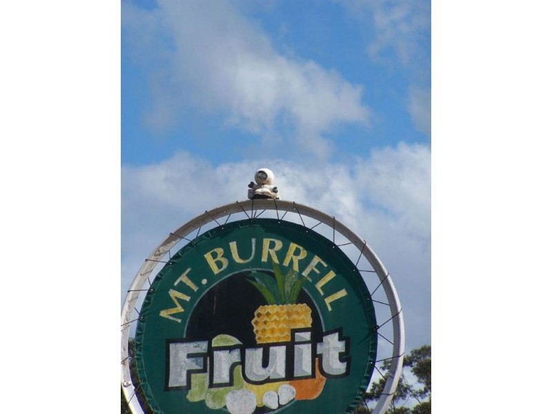 3220 Kyogle Rd, Mount Burrell NSW 2484