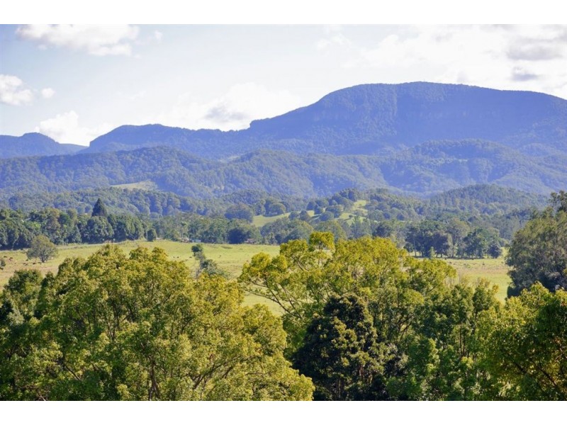 667 Numinbah Road, Murwillumbah NSW 2484
