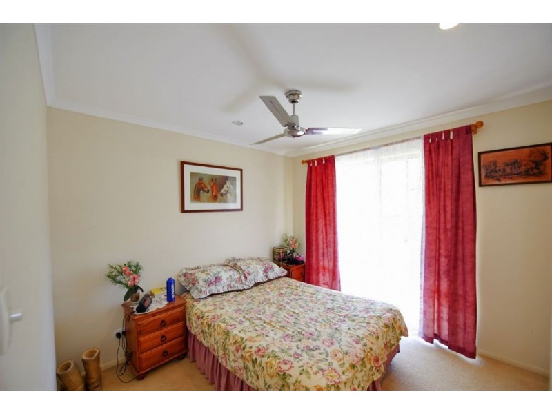 667 Numinbah Road, Murwillumbah NSW 2484