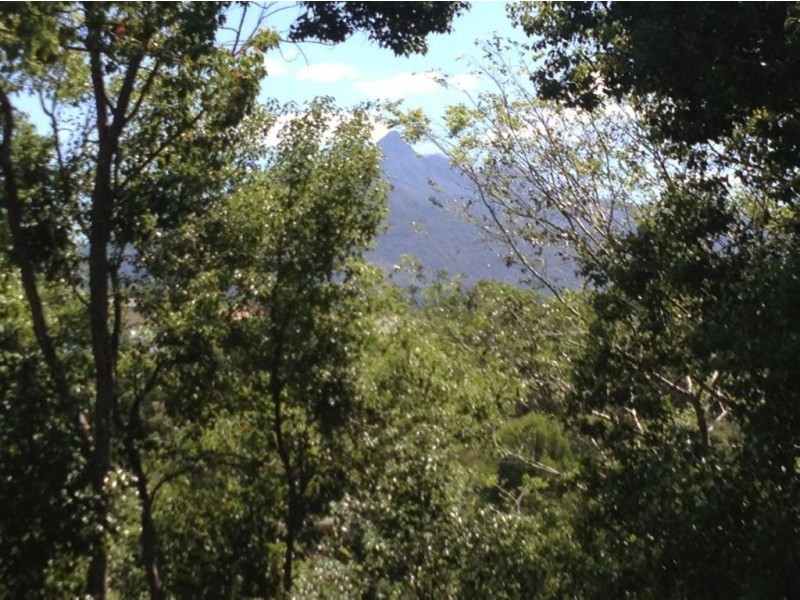 39 Park Avenue, Murwillumbah NSW 2484