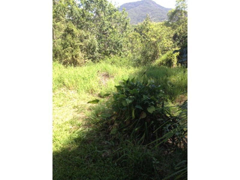 39 Park Avenue, Murwillumbah NSW 2484