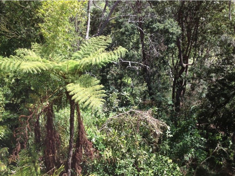 39 Park Avenue, Murwillumbah NSW 2484