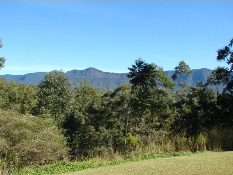 Byrrill Creek NSW 2484