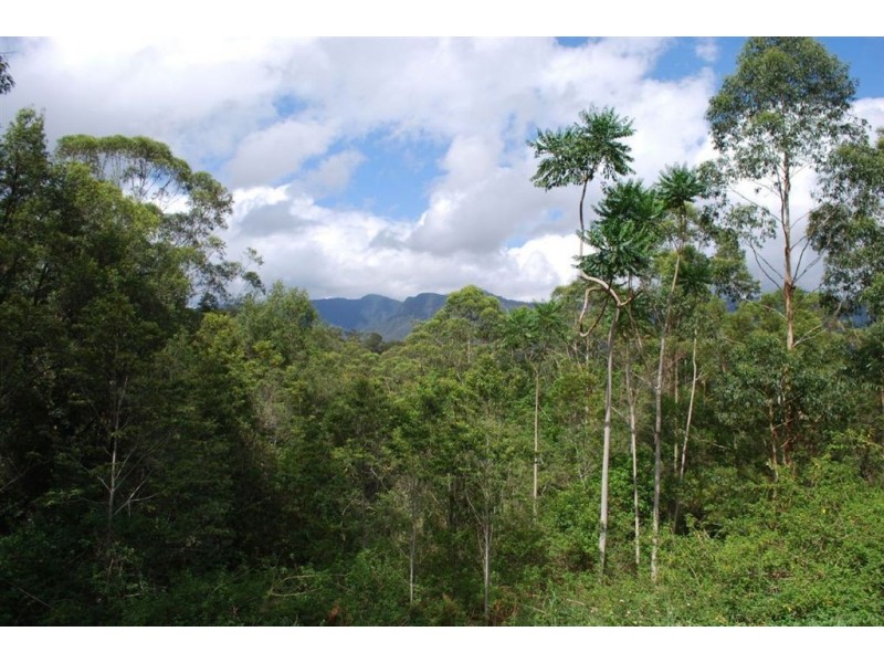 Byrrill Creek NSW 2484