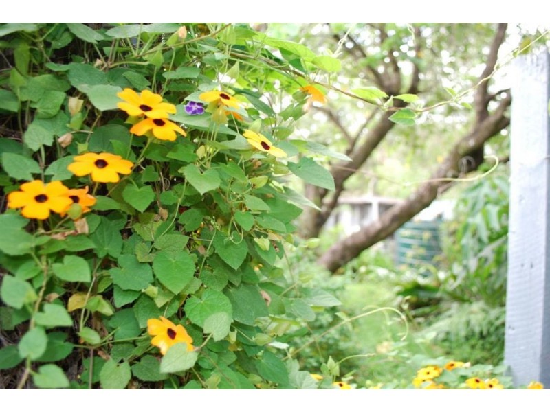 Lillian Rock NSW 2480