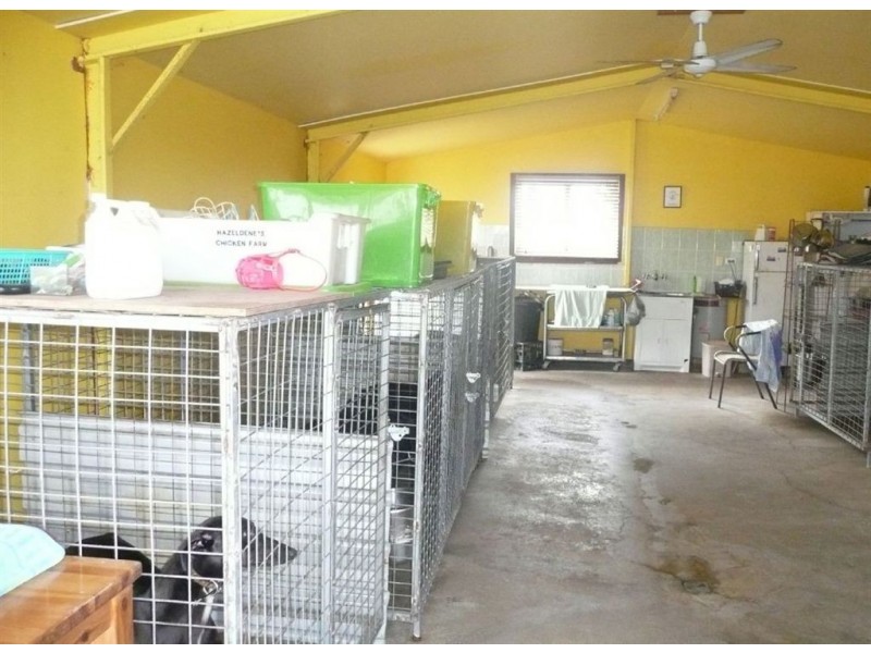 392 Racecourse Road, Murwillumbah NSW 2484