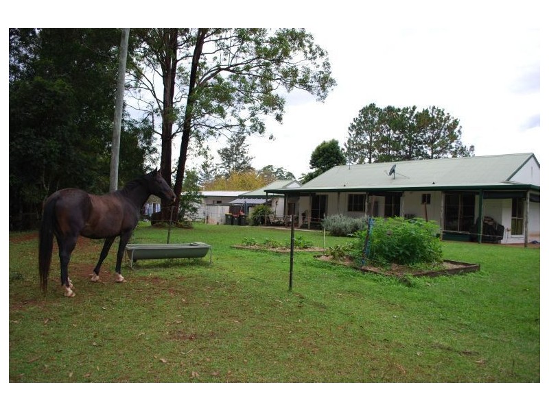 Mount Burrell NSW 2484