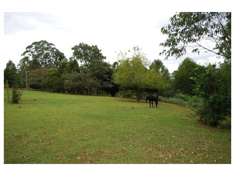 Mount Burrell NSW 2484