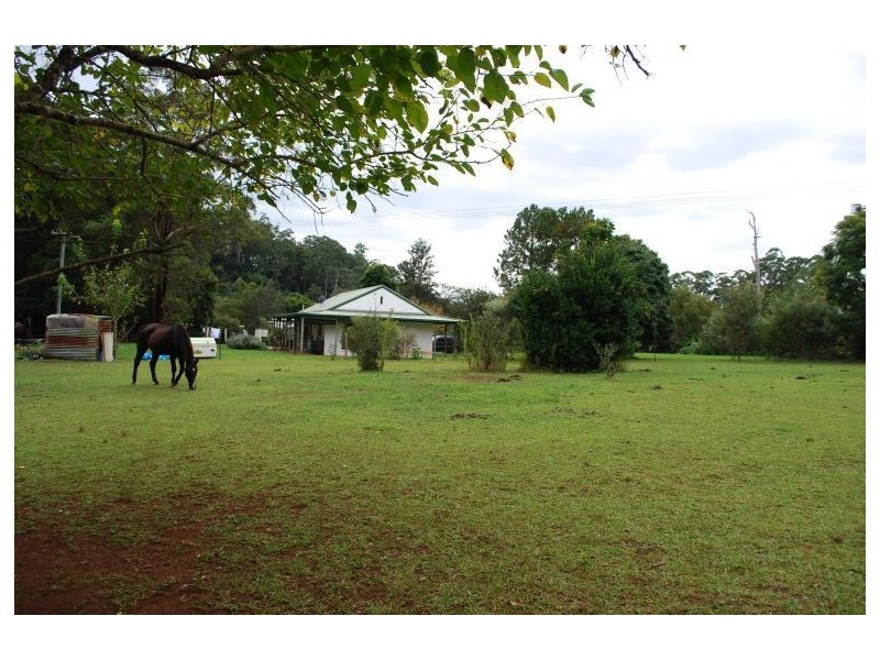 Mount Burrell NSW 2484