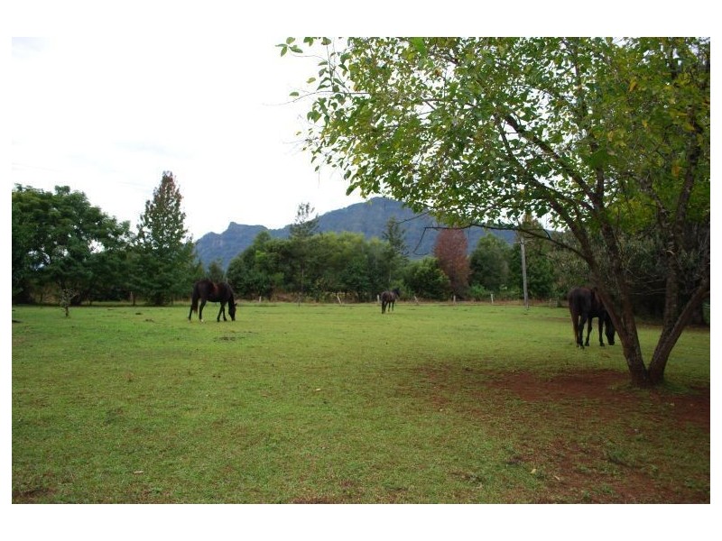 Mount Burrell NSW 2484