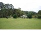 Mount Burrell NSW 2484