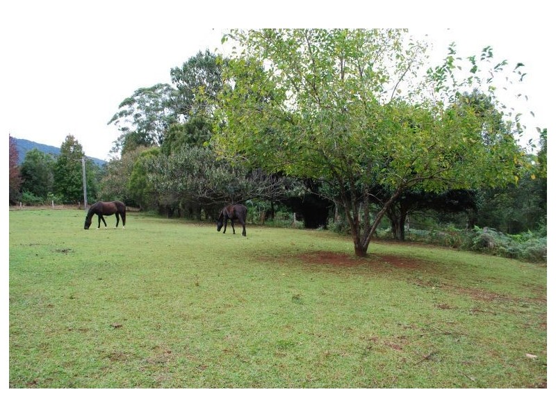 Mount Burrell NSW 2484