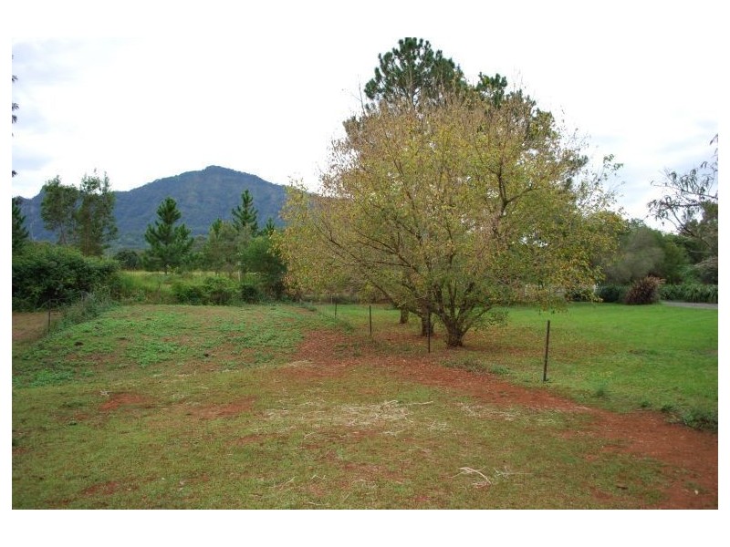 Mount Burrell NSW 2484