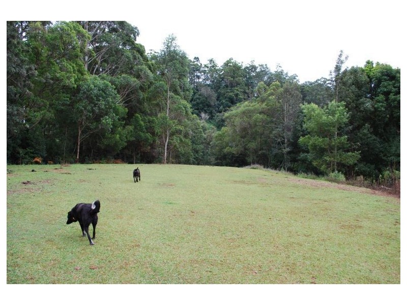 Mount Burrell NSW 2484