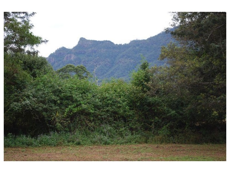 Mount Burrell NSW 2484