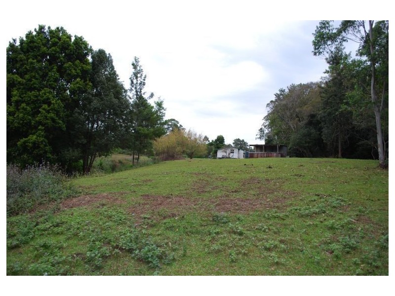 Mount Burrell NSW 2484