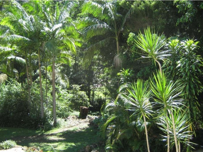 142 Glenock Road, Uki NSW 2484