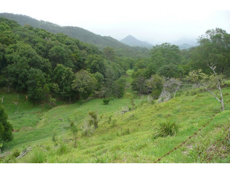 Crystal Creek NSW 2484