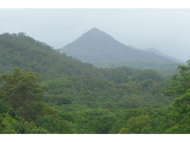 Crystal Creek NSW 2484