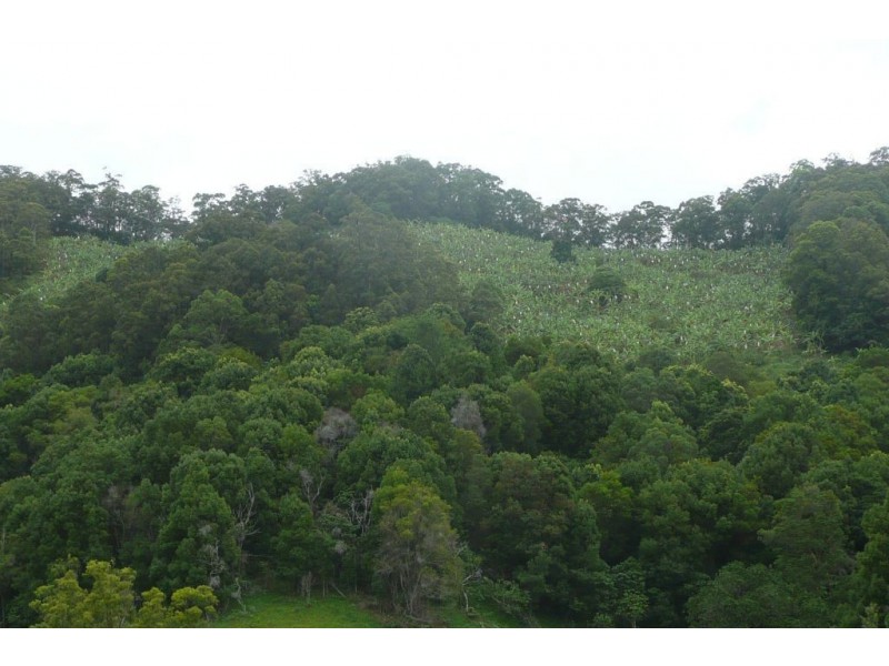 Crystal Creek NSW 2484