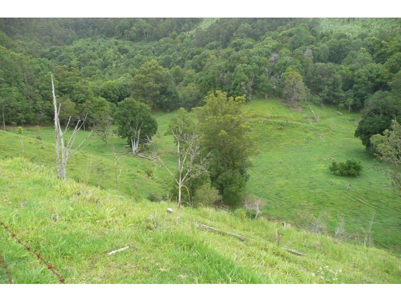 Crystal Creek NSW 2484
