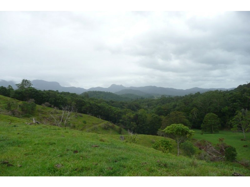 Crystal Creek NSW 2484