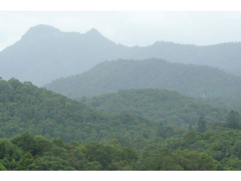 Crystal Creek NSW 2484