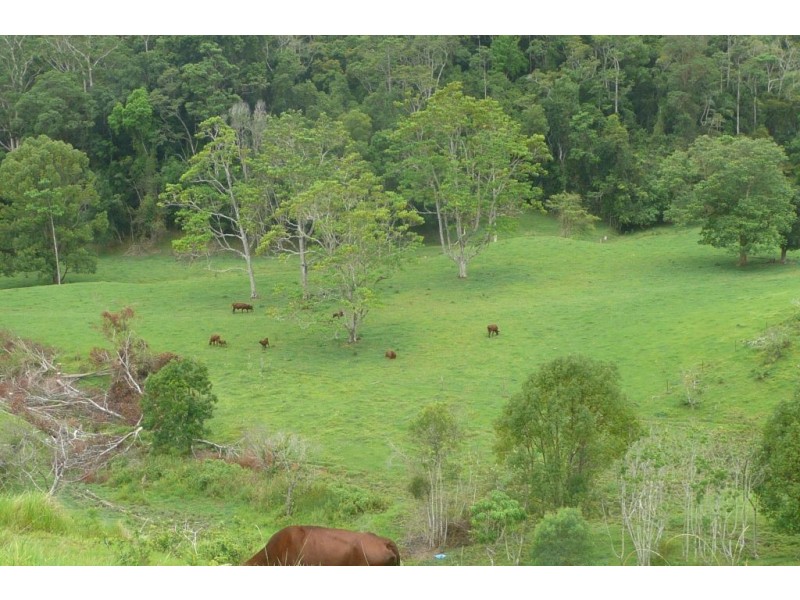 Crystal Creek NSW 2484