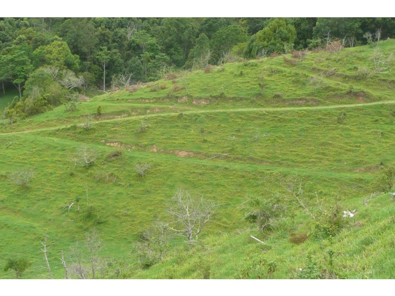 Crystal Creek NSW 2484