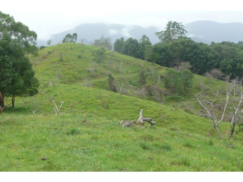 Crystal Creek NSW 2484