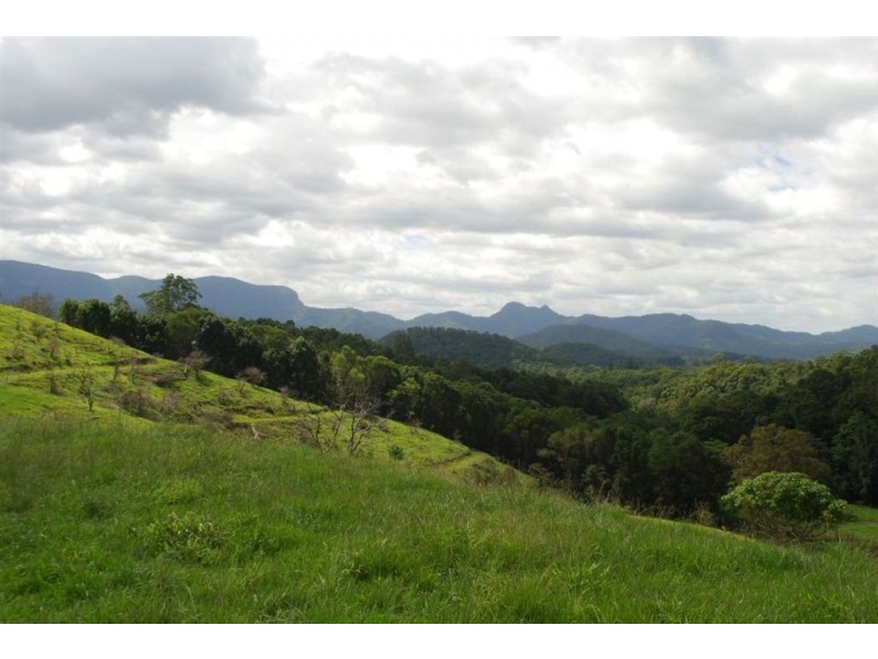 Crystal Creek NSW 2484