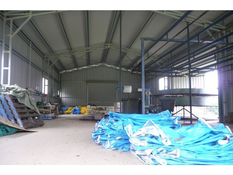 Crystal Creek NSW 2484