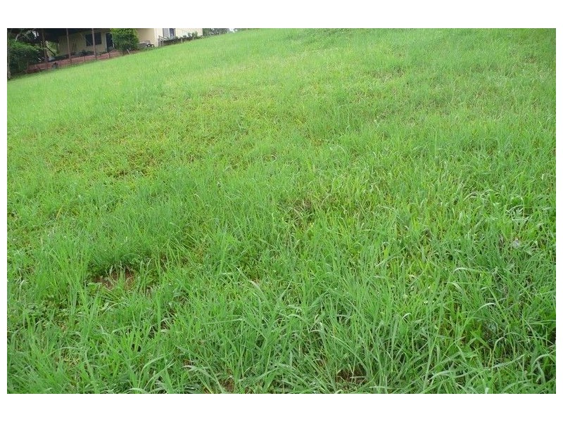 3 Samuel Court, Murwillumbah NSW 2484