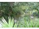 226 Stokers Road, Stokers Siding NSW 2484