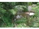 226 Stokers Road, Stokers Siding NSW 2484