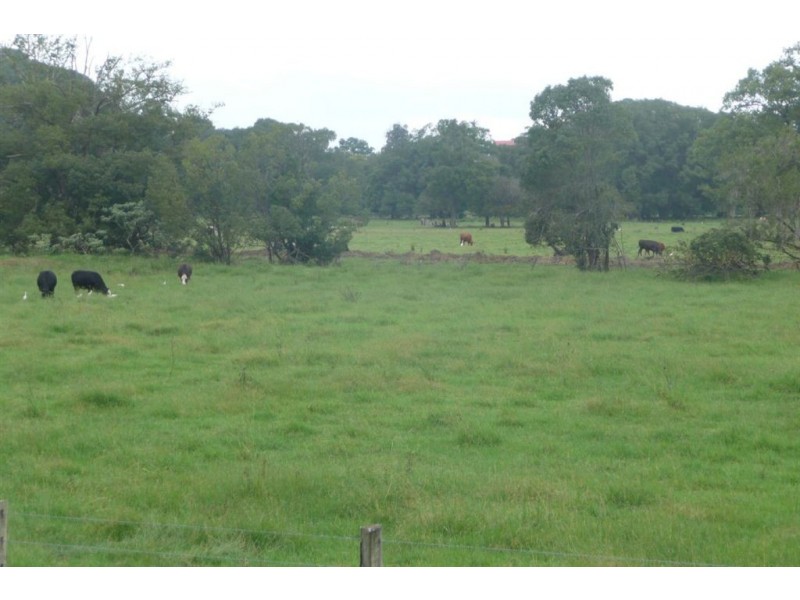 2 Kyogle Road, Murwillumbah NSW 2484