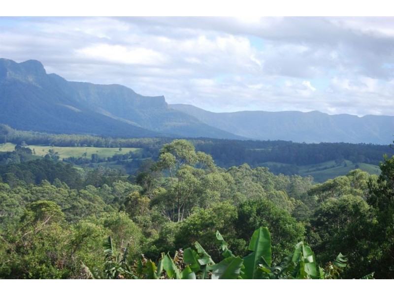 390 mount burrell rd, Mount Burrell NSW 2484