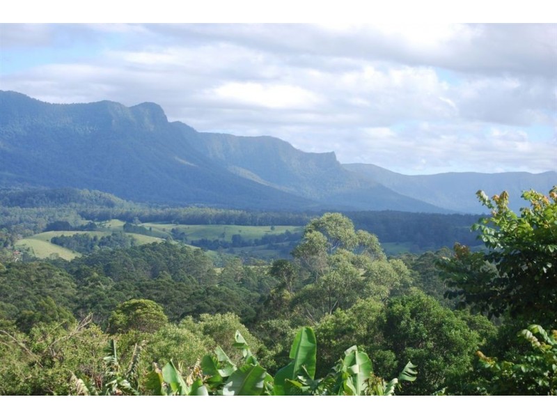 390 mount burrell rd, Mount Burrell NSW 2484