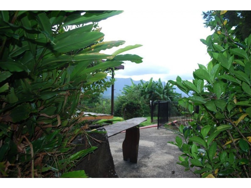 390 mount burrell rd, Mount Burrell NSW 2484