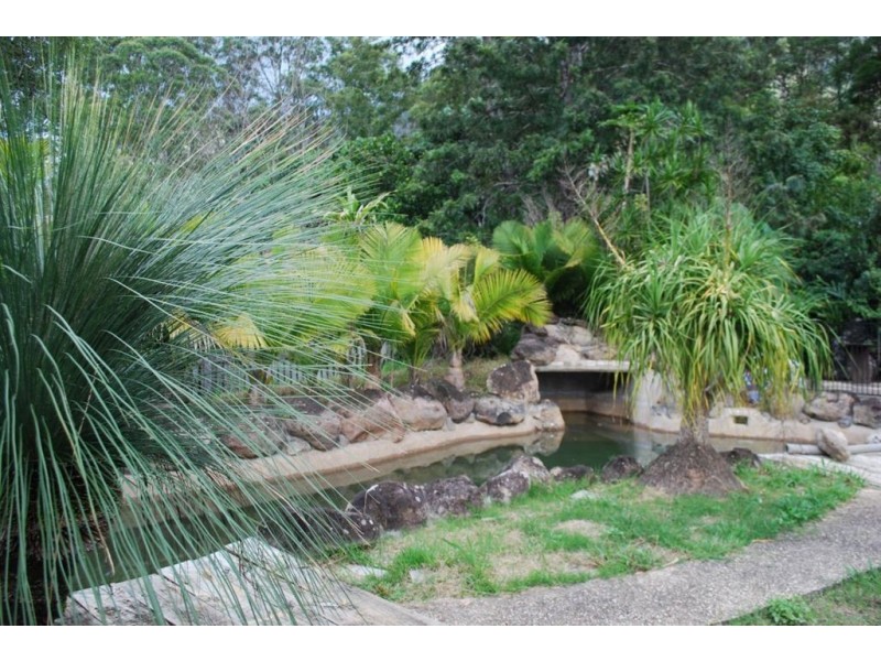 390 mount burrell rd, Mount Burrell NSW 2484