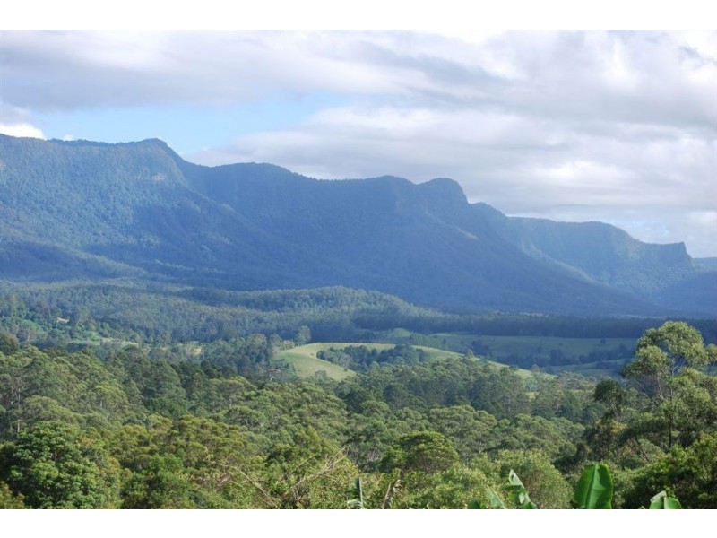 390 mount burrell rd, Mount Burrell NSW 2484