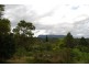 Wadeville NSW 2474