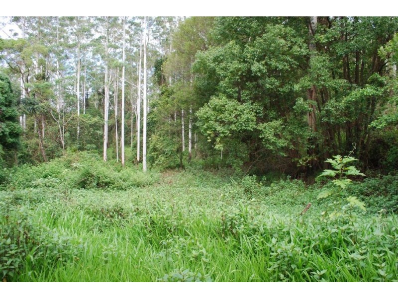 Nimbin NSW 2480